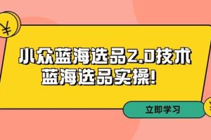 拼多多培训第33期：小众蓝海选品2.0技术-蓝海选品实操！