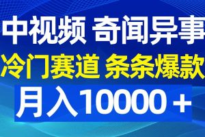 中视频奇闻异事，冷门赛道条条爆款，月入10000＋