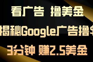 看广告，撸美金！3分钟赚2.5美金！日入200美金不是梦！揭秘Google广告…