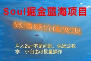 Soul掘金蓝海项目细分赛道，做情感价值变现，月入2w+不是问题