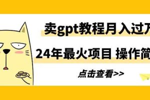 24年最火项目，卖gpt教程月入过万，操作简单