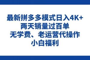 拼多多最新模式日入4K+两天销量过百单，无学费、老运营代操作、小白福利