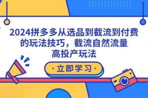 2024拼多多从选品到截流到付费的玩法技巧，截流自然流量玩法，高投产玩法