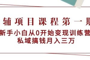 教辅项目课程第一期：新手小白从0开始变现训练营  私域搞钱月入三万