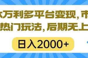 一本万利多平台变现，市面所有热门玩法，日入2000+，后期无上限！